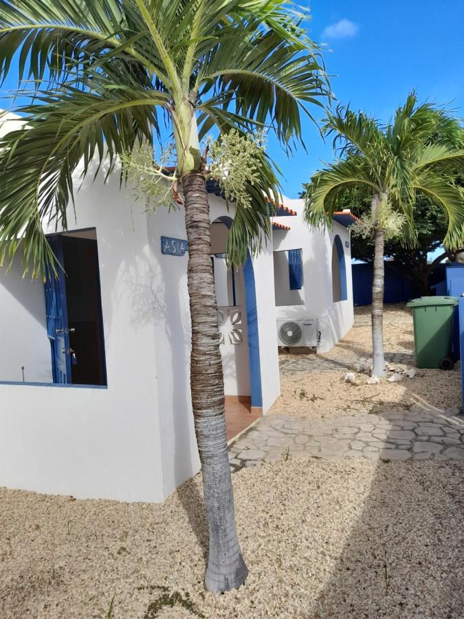 Caribbean Chillout Apartments Playa Dış mekan fotoğraf