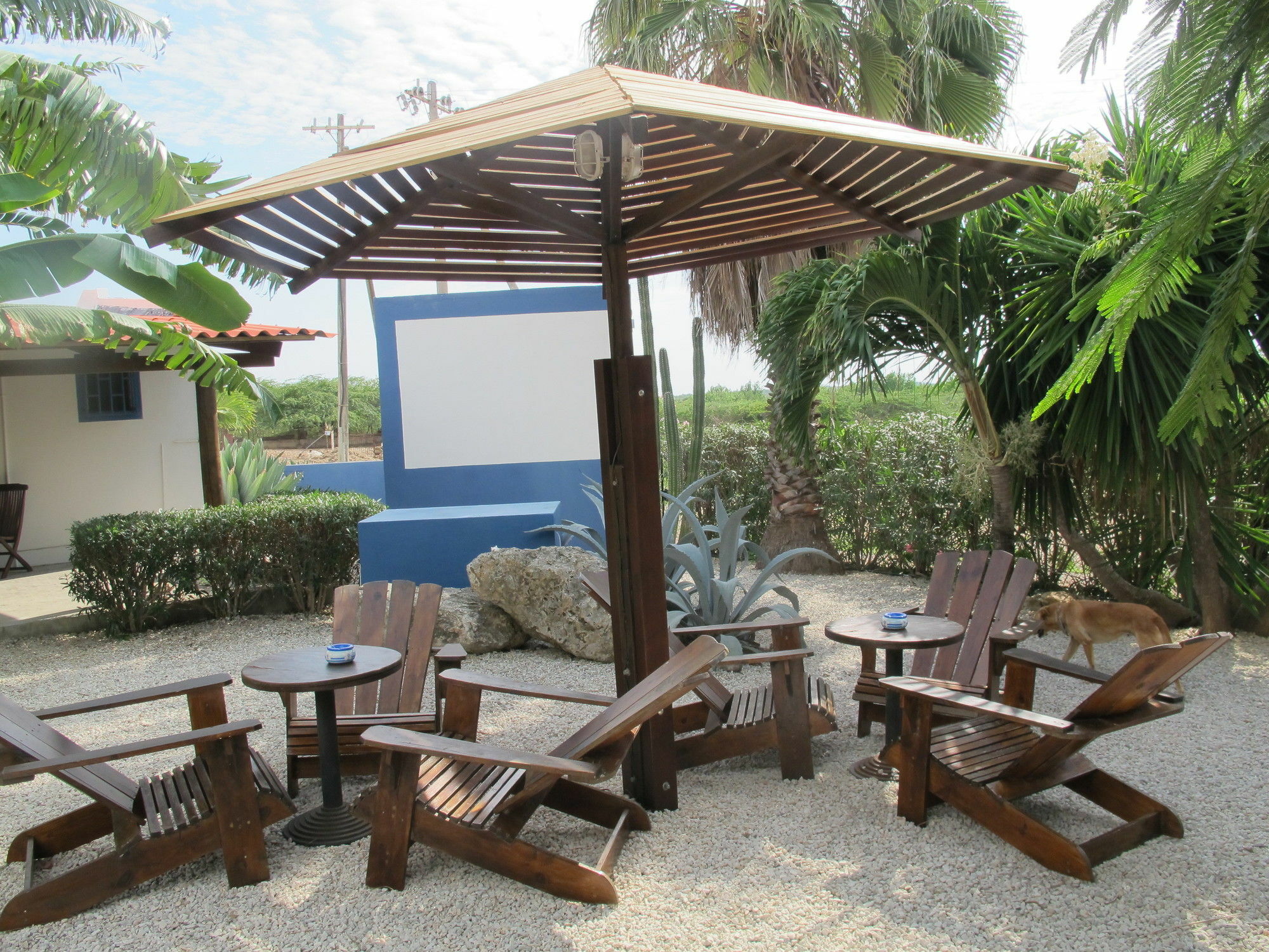 Caribbean Chillout Apartments Playa Dış mekan fotoğraf