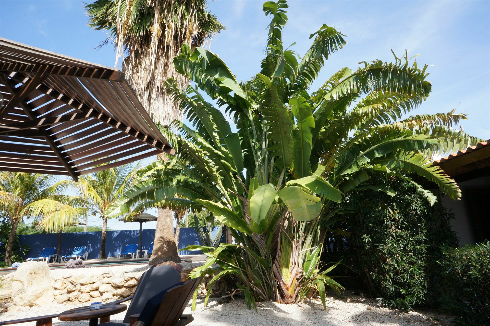 Caribbean Chillout Apartments Playa Dış mekan fotoğraf